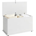 Coffre de Rangement Design Moderne et Confortable